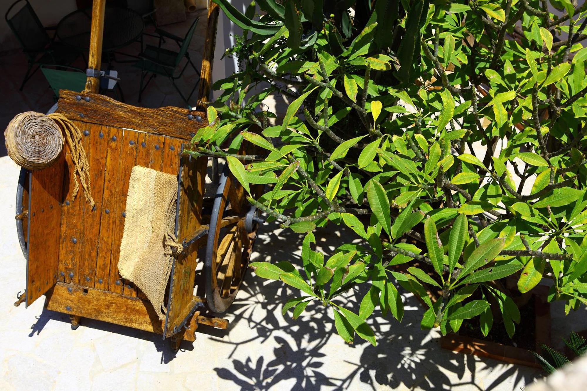 B&B Sabir San Vito Lo Capo Exterior photo
